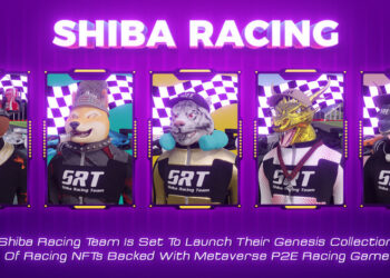 Shiba Racing Team